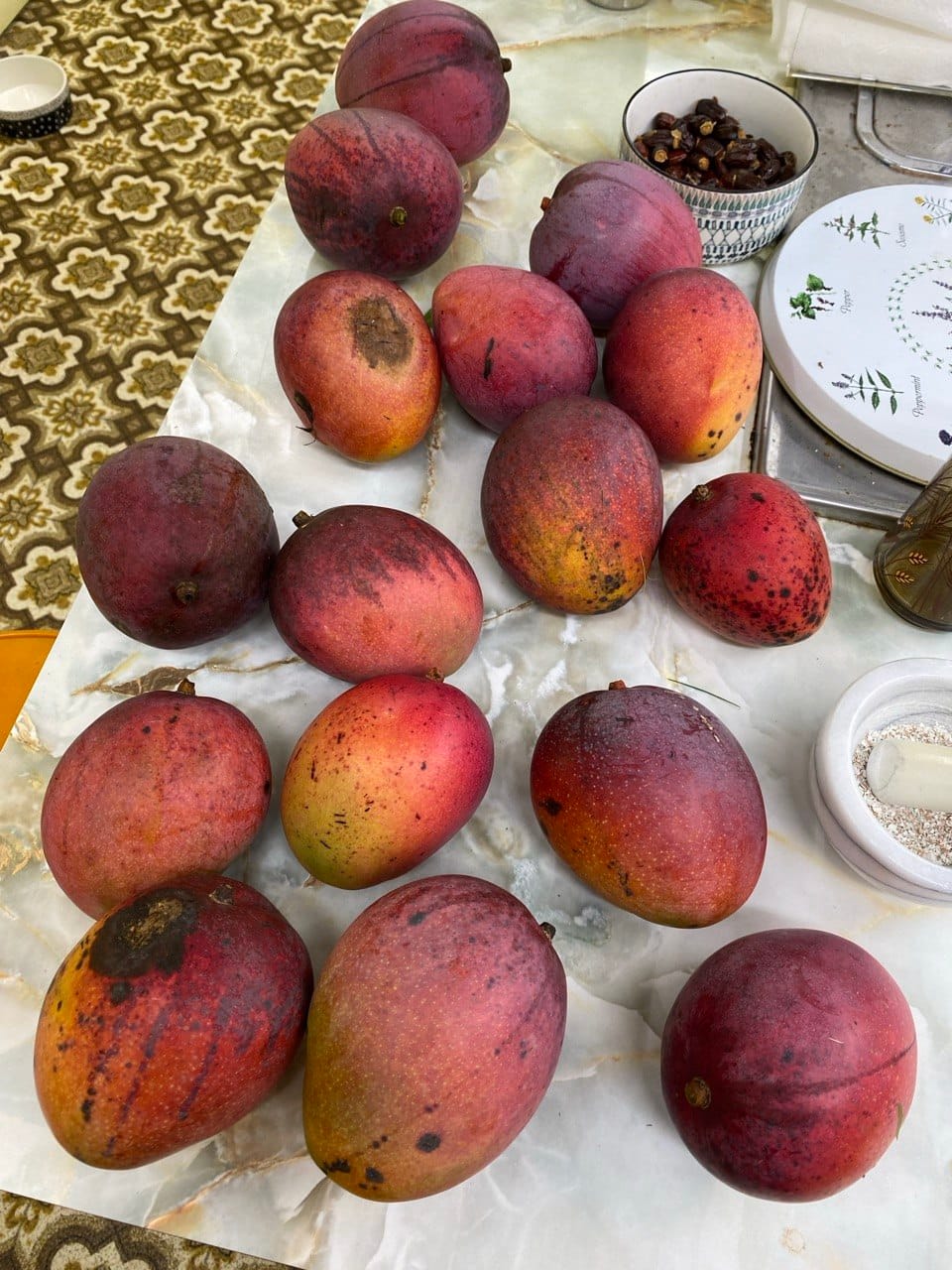 Pile of freshly harvested Florida mangoes on a table, including several with natural blemishes and soft spots
