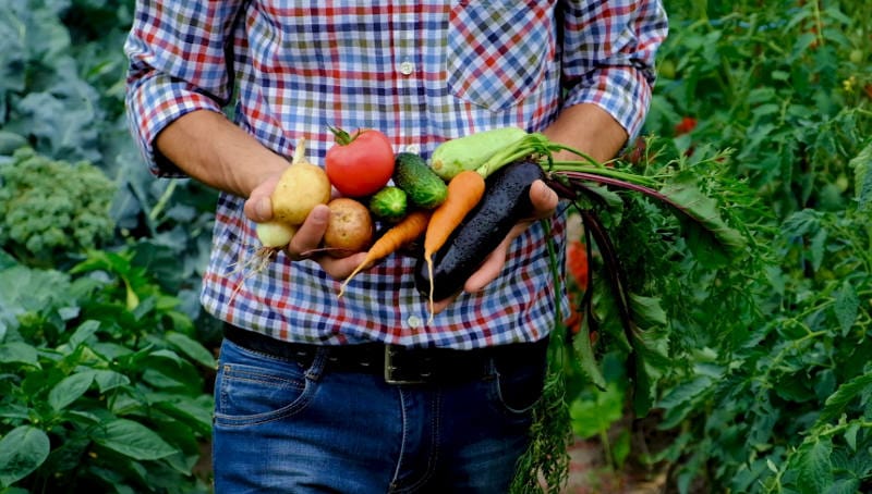 Selling at Farmers Markets vs on OffTheLand.