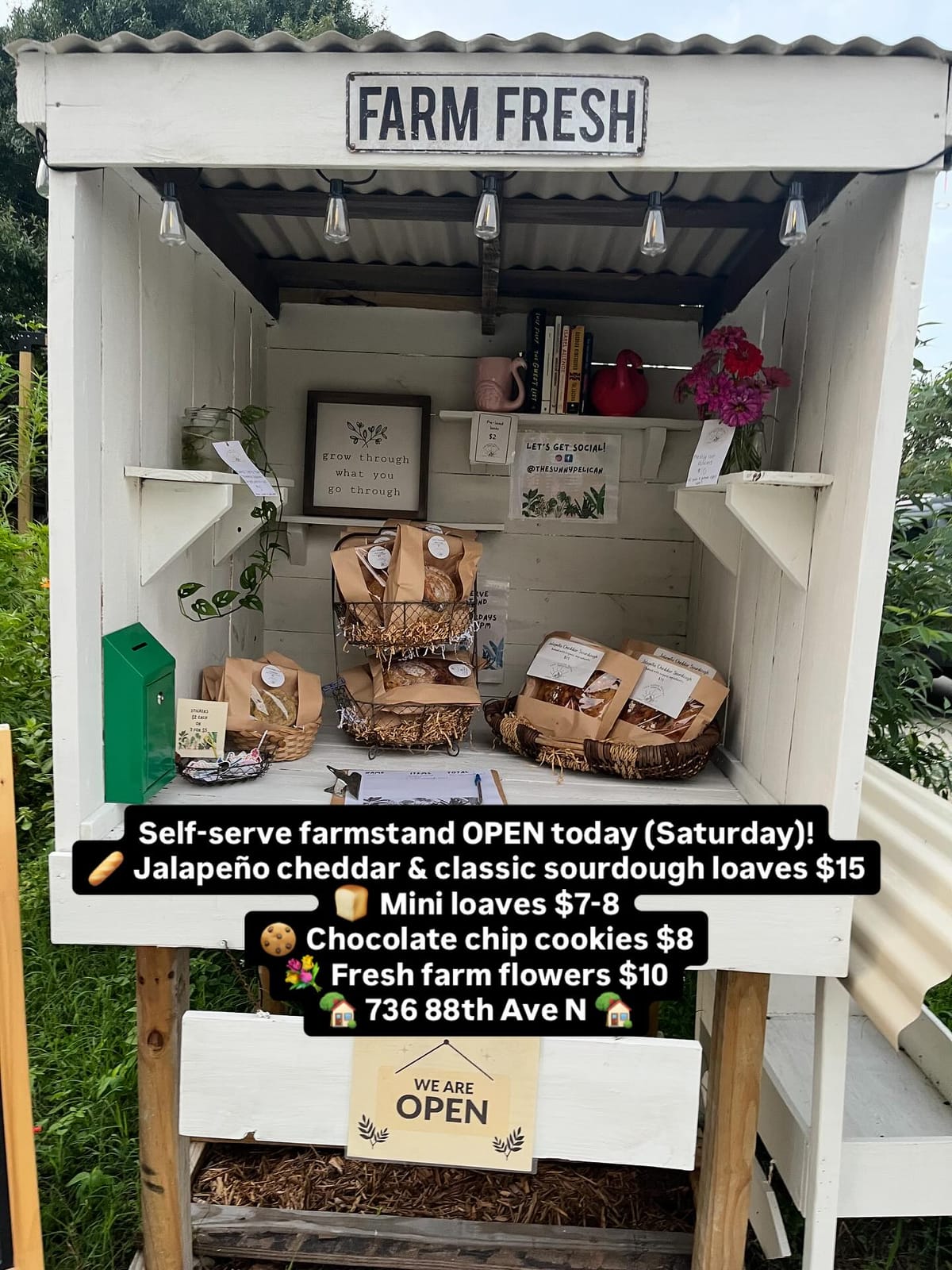 Fresh, Local, & Homemade – Why Neighbors Love This St. Pete Farm Stand (Florida Farm Stand Series)
