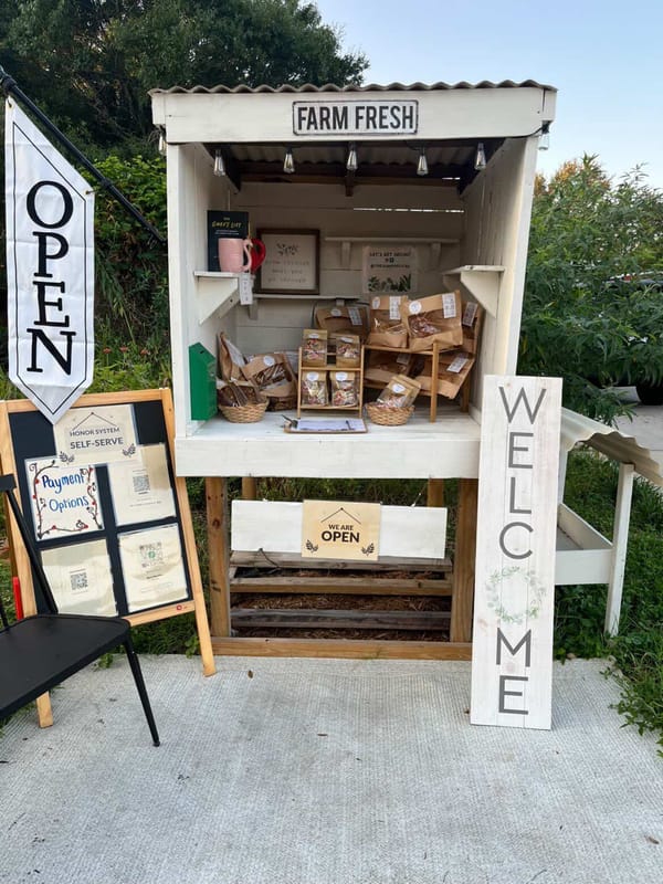 Building Community One Loaf at a Time: St. Pete Self-Serve Farm Stand.