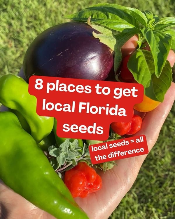 8 Local Seed Sources That Will Change How You Garden in Florida