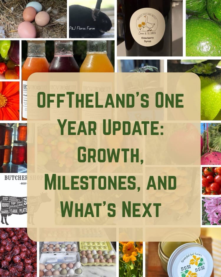 One Year of Building Florida’s Decentralized Local Food Network