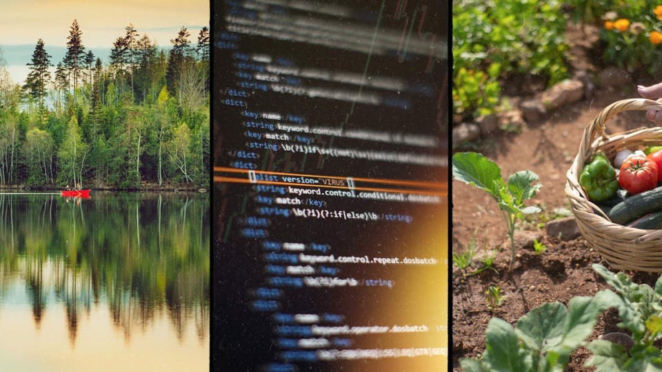 Wilderness survival, Cybersecutiry LOTL, and homesteading off grid living.